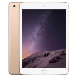 iPad mini GSM 64Gb