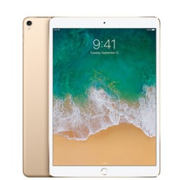 iPad 10.5 GSM 64Gb