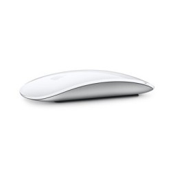 Magic Mouse - Multi-Touch Surface