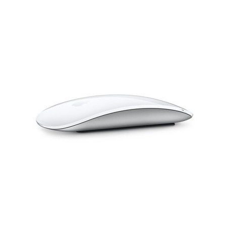 Magic Mouse - Multi-Touch Surface