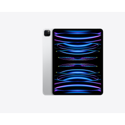 iPad Pro 12.9 GSM 256Gb