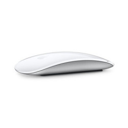 Magic Mouse - Multi-Touch Surface
